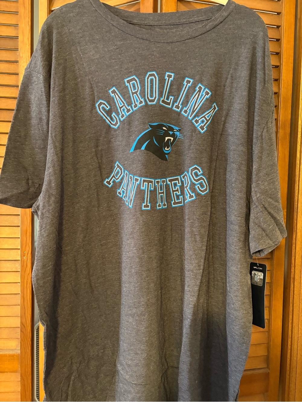 NFL Carolina Panthers Gray Short Sleeve Graphic Tee